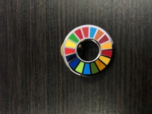 SDGs④